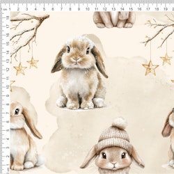 RABBIT IN SNOW