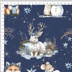 WINTER MAGIC BLUE