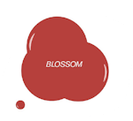 Blossom, 15 ml