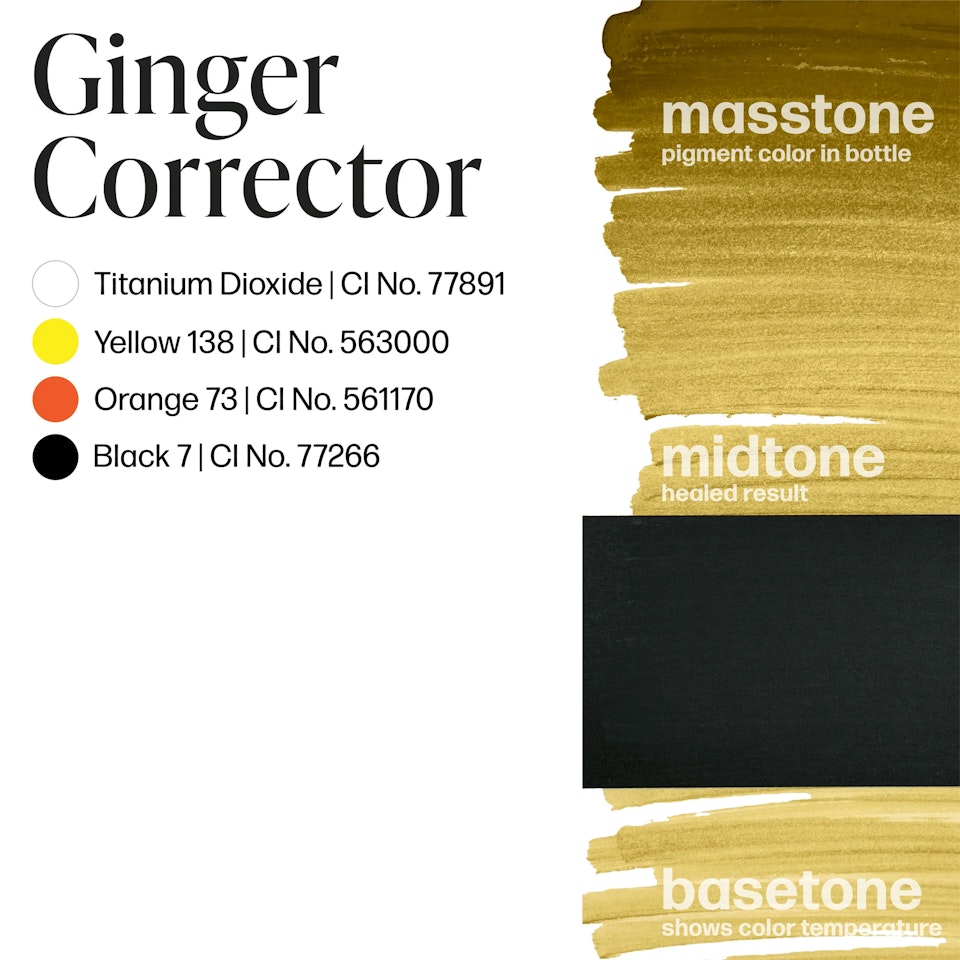 Ginger Corrector