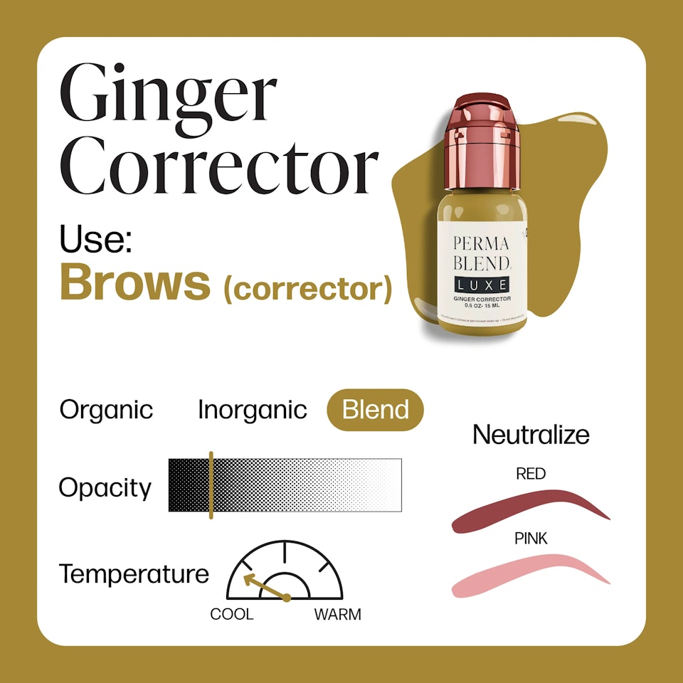 Ginger Corrector