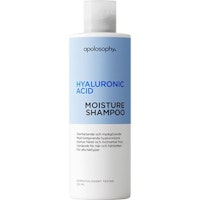 Apolosophy Moisture Shampoo - 250 ml