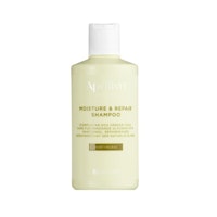 Apoliva Hair Moisture & Repair Shampoo, Scented - 250 ml