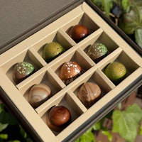 Chocolatte Seasonal Praline Selection - 9 pcs