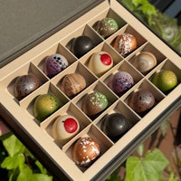 Chocolatte Seasonal Praline Selection - 16 pcs