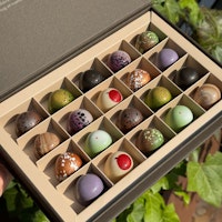 Chocolatte Seasonal Praline Selection - 20 pcs