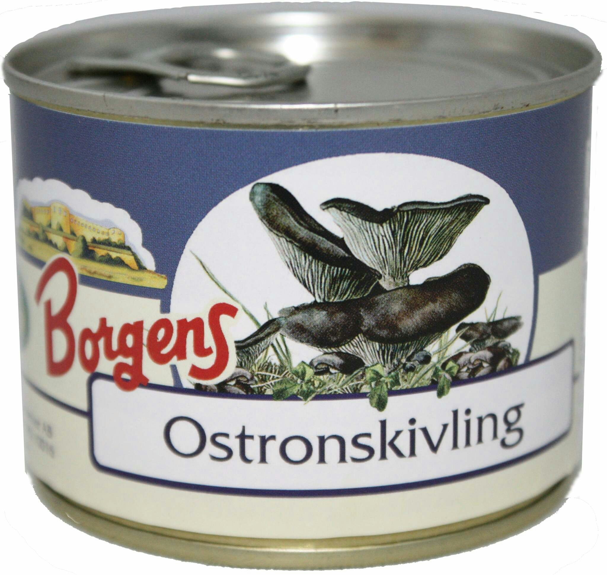 Borgens Oyster Mushrooms - 200 grams
