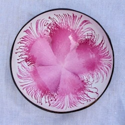 Coconut Bowl Kokosskål - rosa blomma