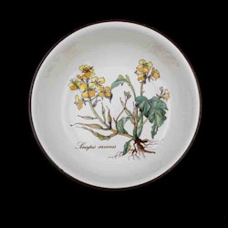 Skål - Botanica, Villeroy Boch