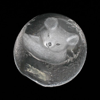 Kristallblock med koala - Målerås glasbruk