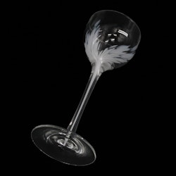 Likörglas  - Iittala