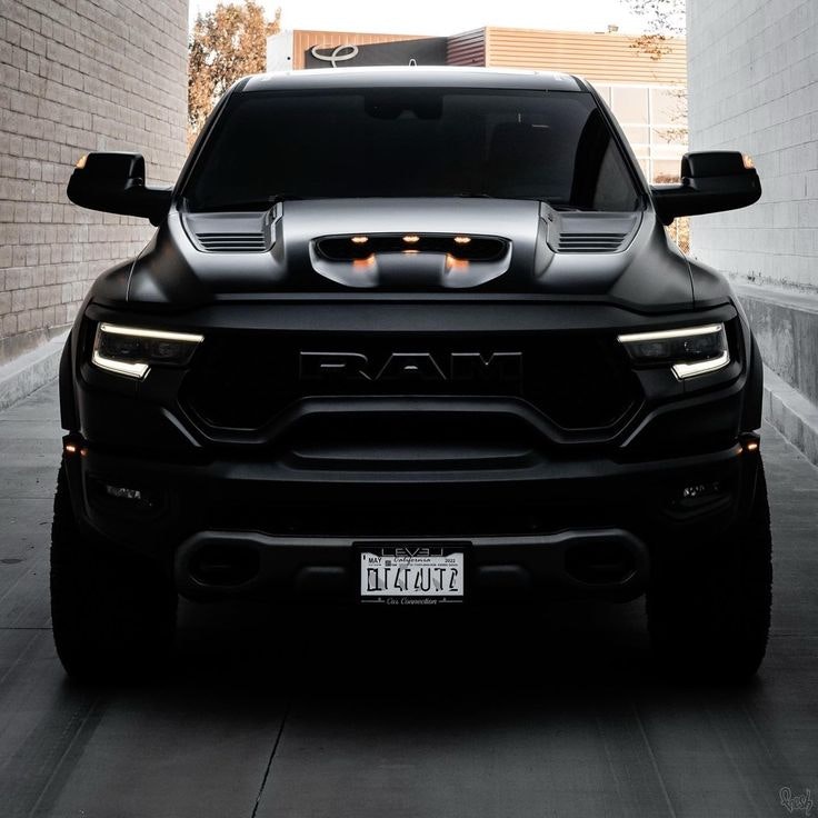 Dodge Ram 1500 pickup - Mudflaps or not?