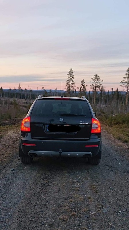 Skoda Octavia Scout Stänklappar