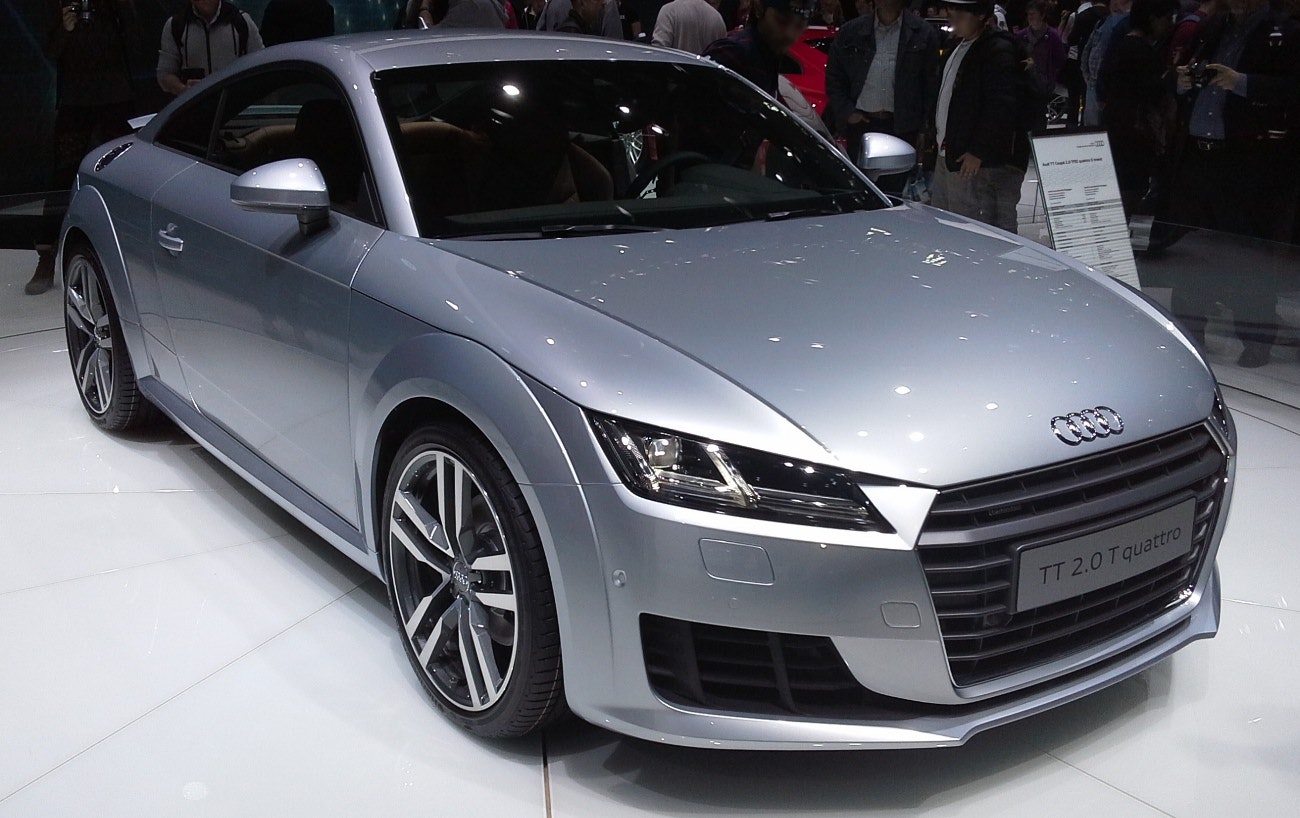Audi TT Stänkskydd