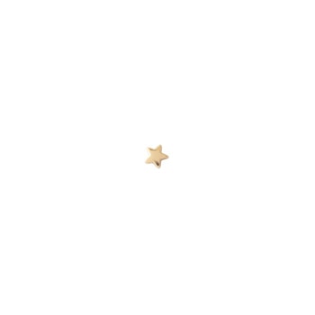 Star Sterling Silver Gold-Plated Earring