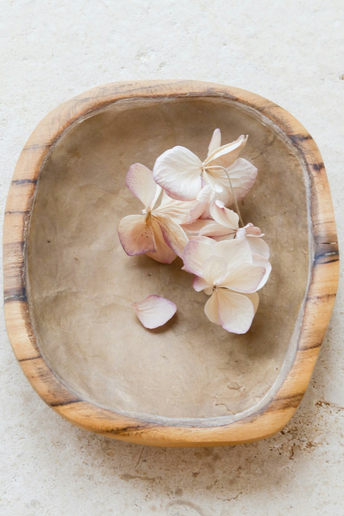 Wooden Bowl Dark Sea Shell