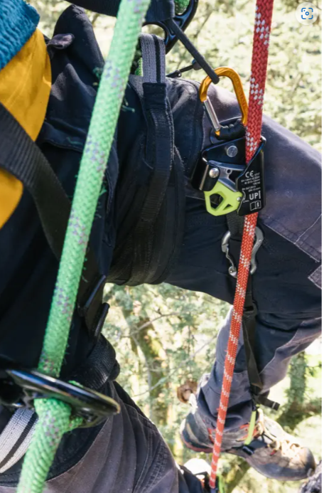 Knee Cruiser Ascender - Edelrid