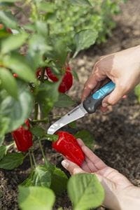 VeggieCut Skördekniv - GARTDENA
