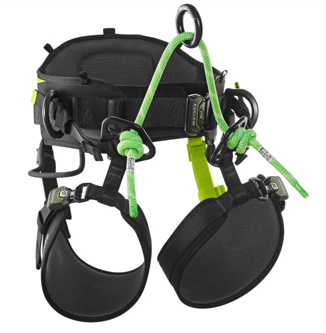 TreeRaptor sele - EDELRID