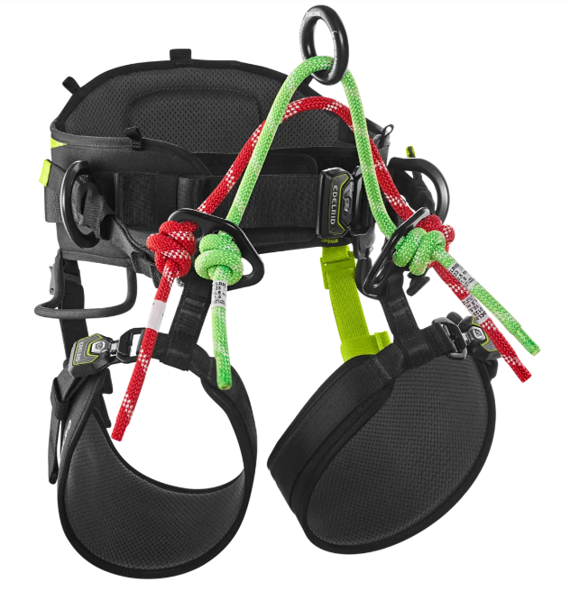 TreeRaptor sele - EDELRID