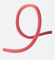 Dynamic 11,0MM Rep - EDELRID