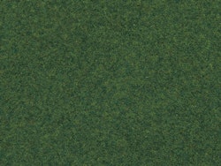 NO07081 - Gräs, mellangrönt - Noch