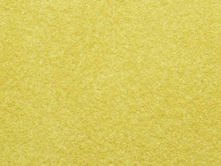 NO07083 - Gräs, gult/guld - Noch