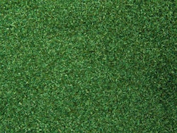 NO08420 - Gräs, mellangrönt - Noch