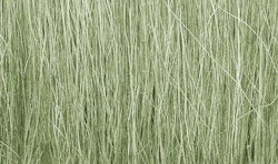 WSFG173 - Högt gräs - Woodland Scenics
