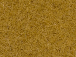 NO07096 - Gräs, beige - Noch