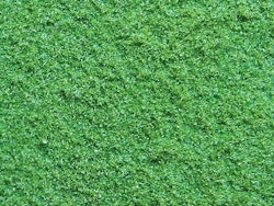 NO07340 - Vegetation (mark) - Noch