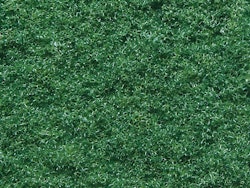 NO07352 - Vegetation (mark) - Noch