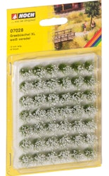 NO07028 - Gräsbuskar, vit blommande - Noch