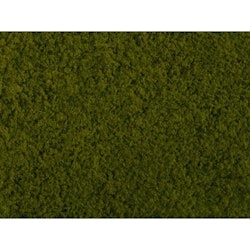 NO07270 - Vegetation (mark) - Noch