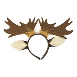 Älghorn på Diadem