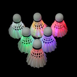 LED Badminton Bollar