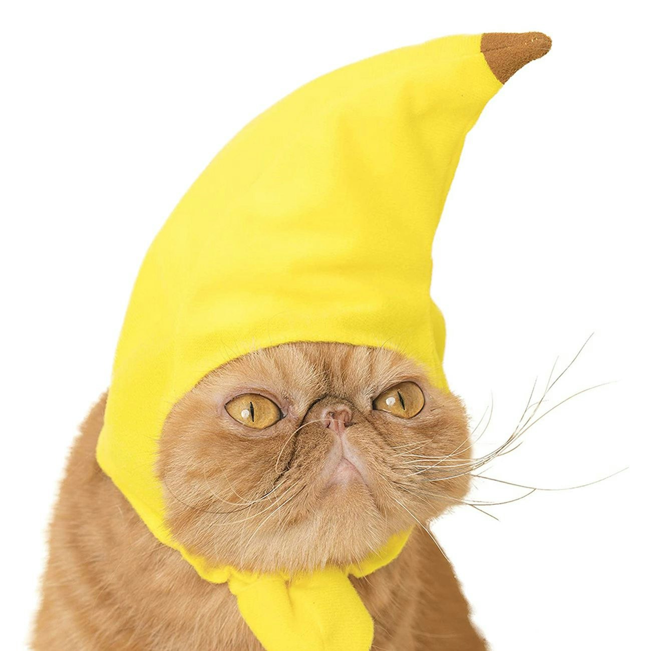 Bananhatt för Katt