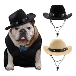 Cowboyhatt för Hund