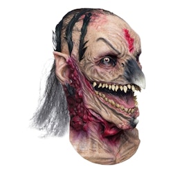 Ghoulish Harwitch Mask