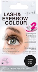 Depend Perfect Eye Lash and Eyebrow Colour Black