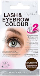 Depend Perfect Eye Lash and Eyebrow Colour Brown Black