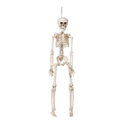 Hängande Böjbart Skelett Prop