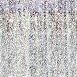 Dörrdraperi Silver Holografisk