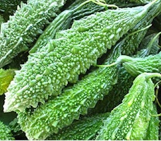 Bitter Gourd/ Karela 4kg box