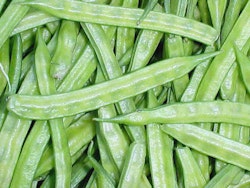 Cluster beans / Gawar / Gooru chikkudukaaya 5kg box