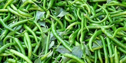 Green chilies / Mirchi 3kg box