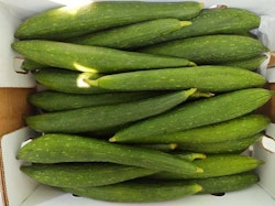 Galka / Neti Birakay/ Sponge Gourd 5 KG Box