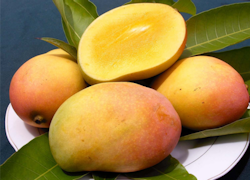 Mango Rajapuri 5kgs box