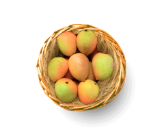 Mango Payari - 3kg box