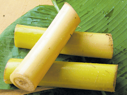 Banana Stem 5kg box
